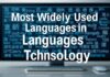 Bilgi Teknolojilerinde En Çok Kullanılan Diller Most Widely Used Languages in Information Technology