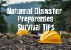 Doğal Afetlere Karşı Hazırlık: Hayatta Kalma İpuçları Natural Disaster Preparedness: Survival Tips