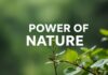 Doğal Yaşamın Gücü: Günlük Hayatımıza Entegre Edilecek 10 Harika Fikir The Power of Nature: 10 Wonderful Ideas to Integrate into Your Daily Life