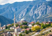 Türkiye’de Bölgesel Ekonomik Kalkınma ve Gelişmeler Regional Economic Development and Advancements in Turkey