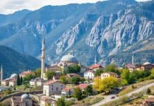 Türkiye’de Bölgesel Ekonomik Kalkınma ve Gelişmeler Regional Economic Development and Advancements in Turkey