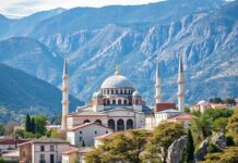 Türkiye’de Bölgesel Politikaların Etkisi The Effect of Regional Policies in Turkey